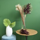 Folha De Latania Artificial Toque Real | Formosinha